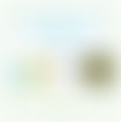 World Investor Week 2023