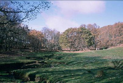 Sierra de San Vicente