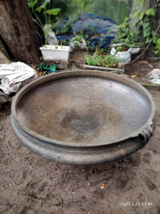 Big bronze uruli varpu