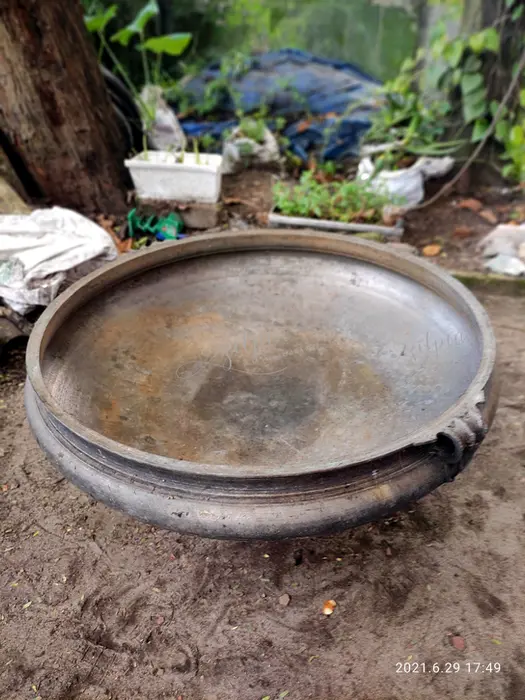 Big bronze uruli varpu