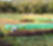 Khasan fields Intercropping