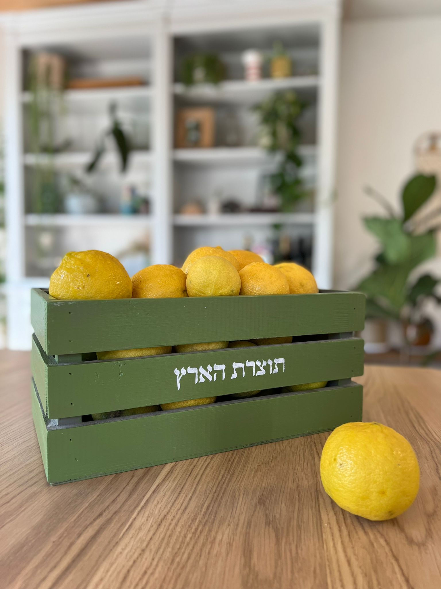 מיני נגרות- ארגז שוק