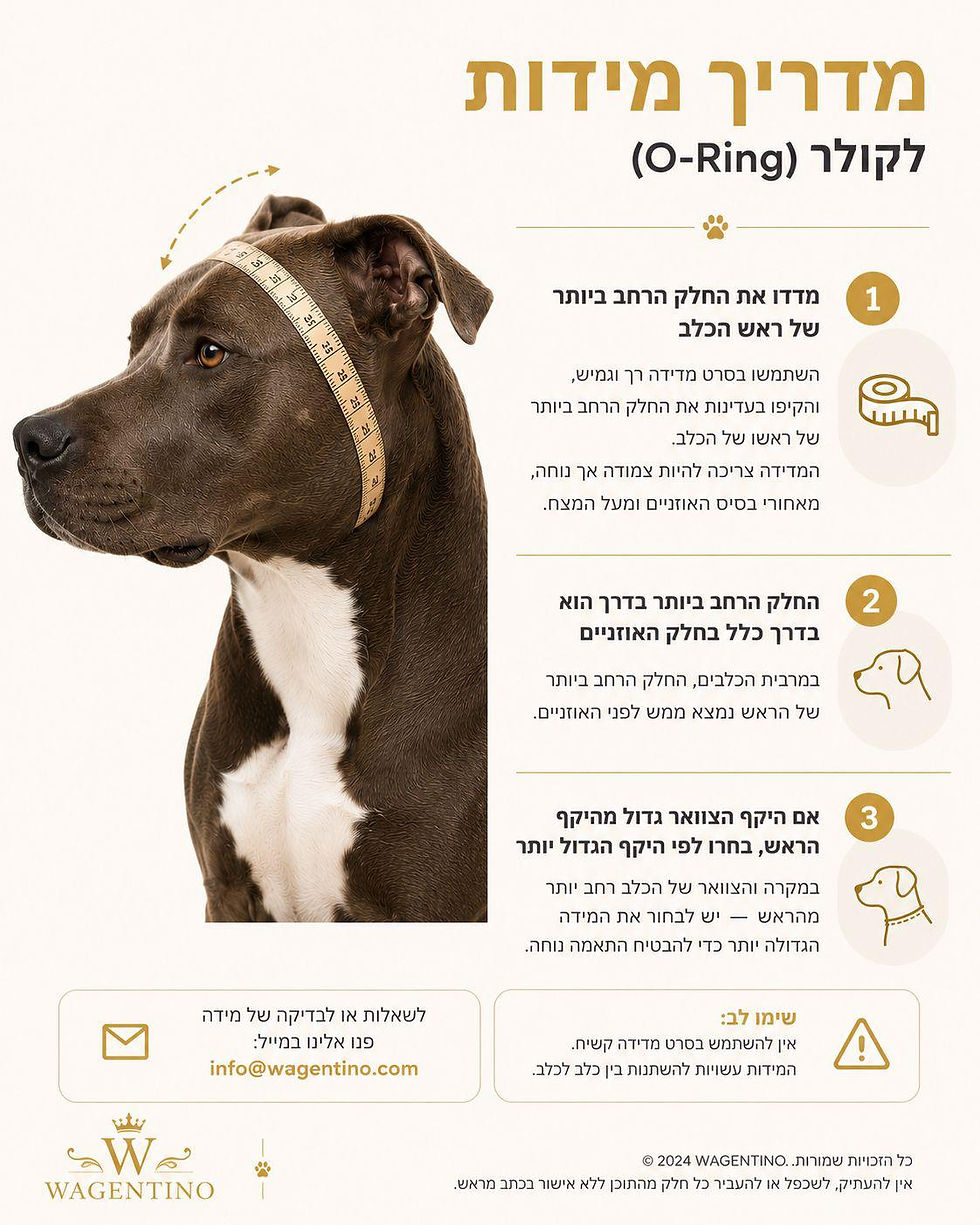 תמונה ממוזערת: אזורה
