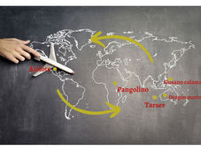 Espai Curiós. "ANIMALS ESTRANYS"