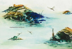 Pond life