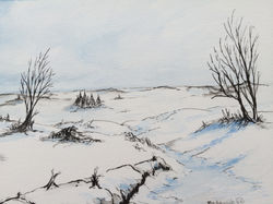 Snow Across The Plain