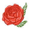Blank 2000 x 2000-3.png