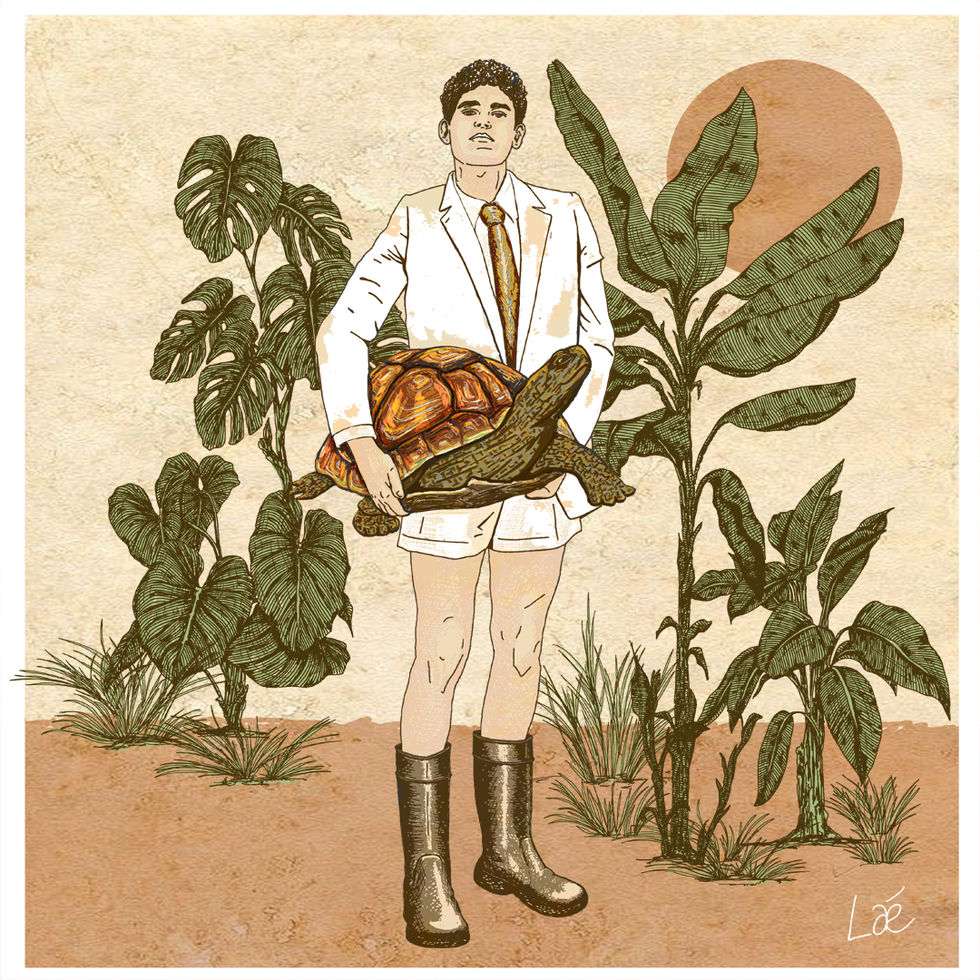 Tortue safari 1080.jpg