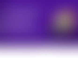 How Chambers of Commerce Should Structure Multi-Entity Financial Reporting in Florida