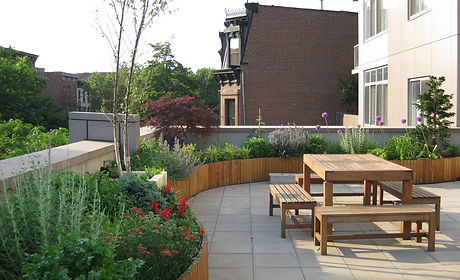Clinton Hill Terrace 6.JPG