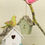 Thumbnail: Songbirds (Français)