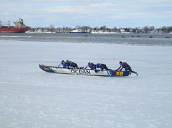 Canotiers faisant la « trottinette » sur la banquise