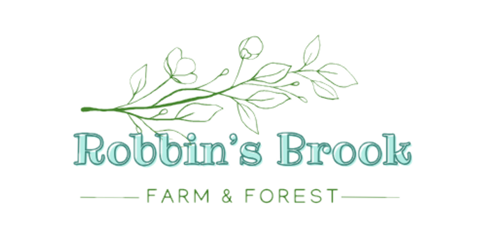 Robbin’s Brook_edited.png