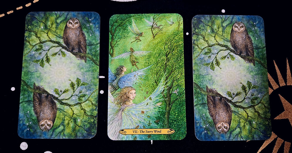 Reflexão sobre retomar o controle da própria vida, inspirada pela carta do Carro no Tarot e pela imagem do Vento das Fadas; uma metáfora sobre foco, determinação e seguir adiante apesar das incertezas, reconhecendo que tudo acontece como deve acontecer e que o processo é mais importante que o destino.