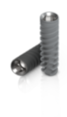 Touareg S / OS Dental Implant Hex