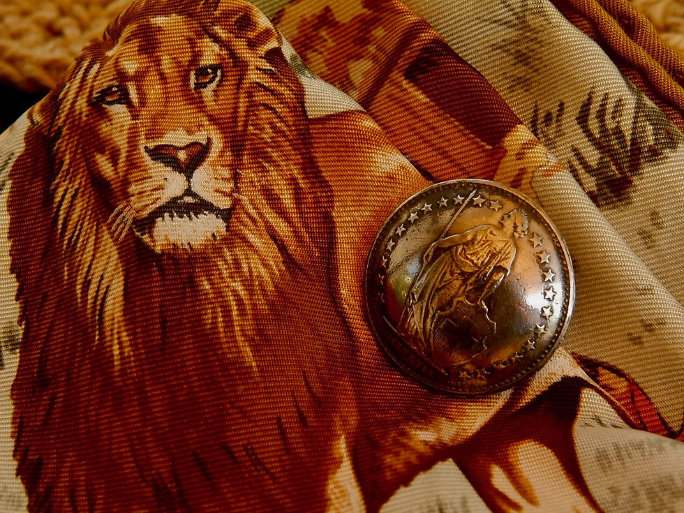 サムネイル： #S11 Switzerland Coin Scarf Clip
