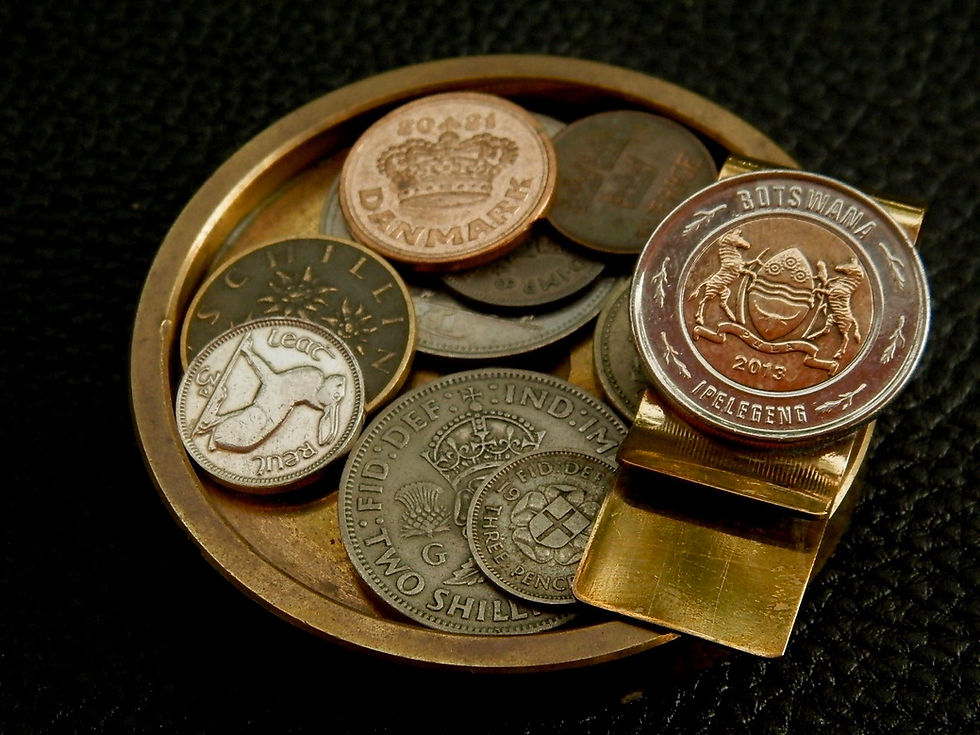サムネイル： ＃M22  Botswana Coin Money Clip