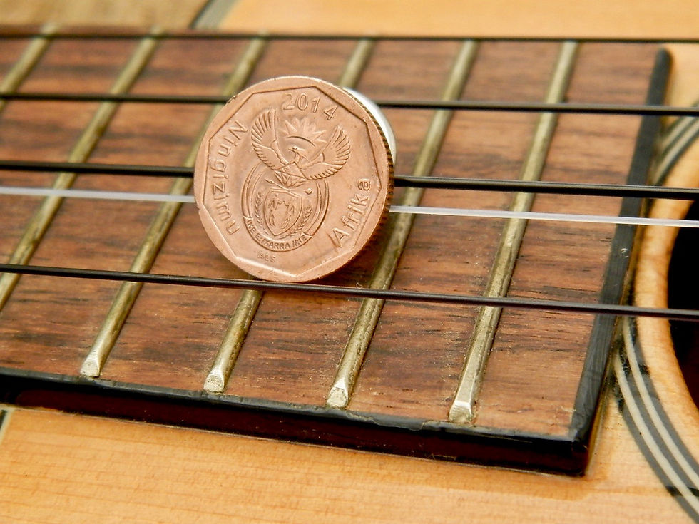 サムネイル： #L11 South Africa Coin Lapel Pin