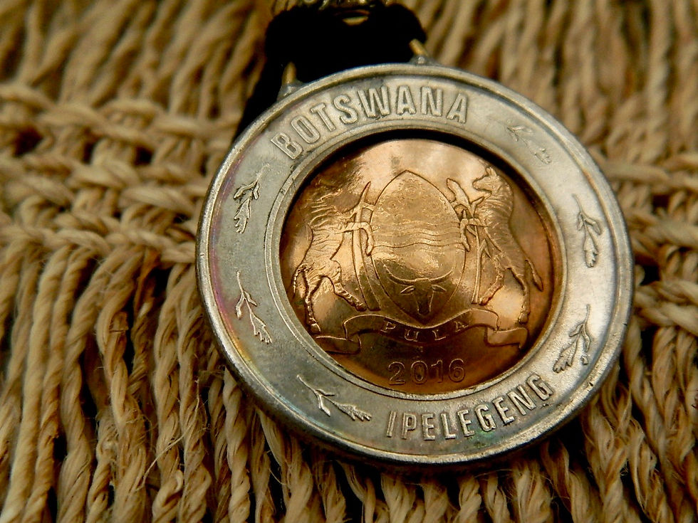 サムネイル： ＃H94 Botswana Coin Hair Elastic(separate)
