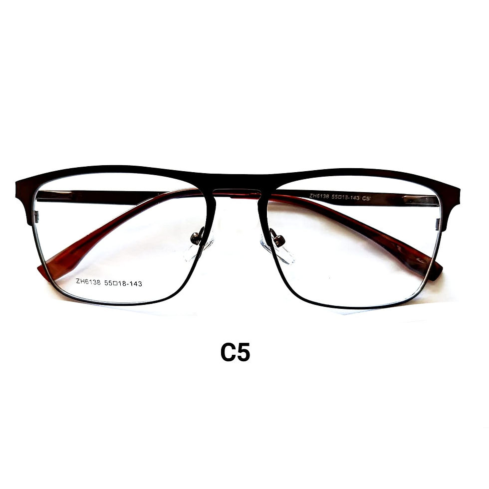 ZH6138-C5 Armação Metal Germano Óculos