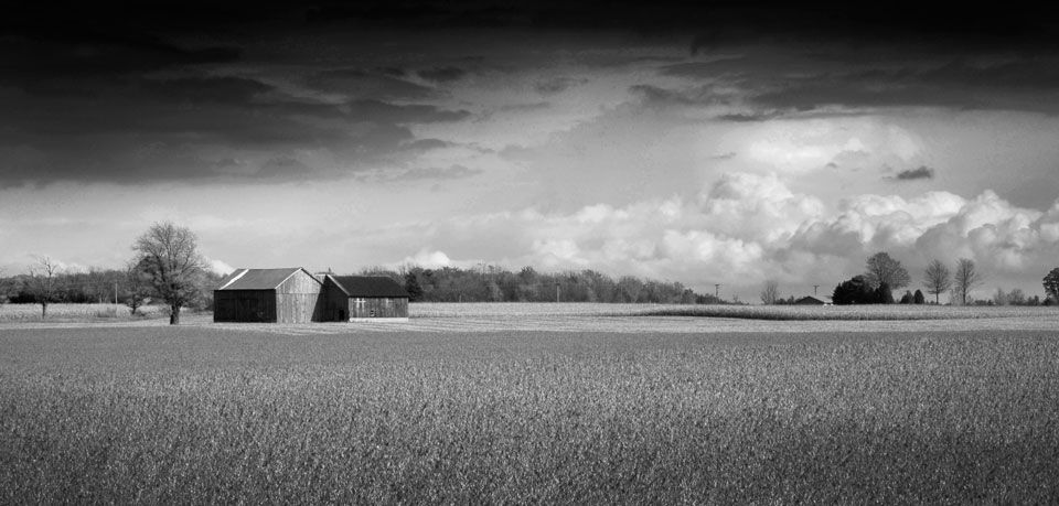 Farm and Sky