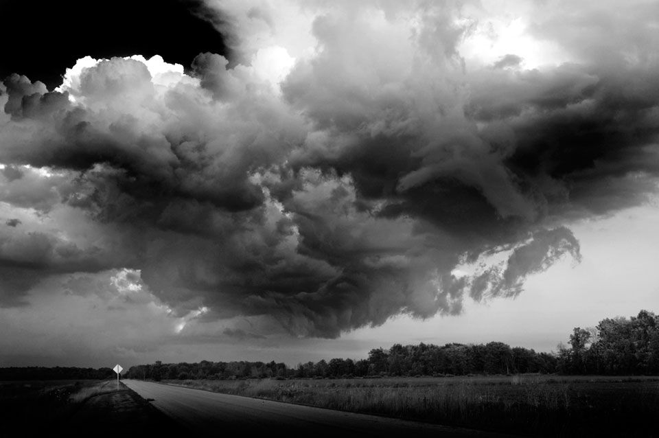 Wild Sky