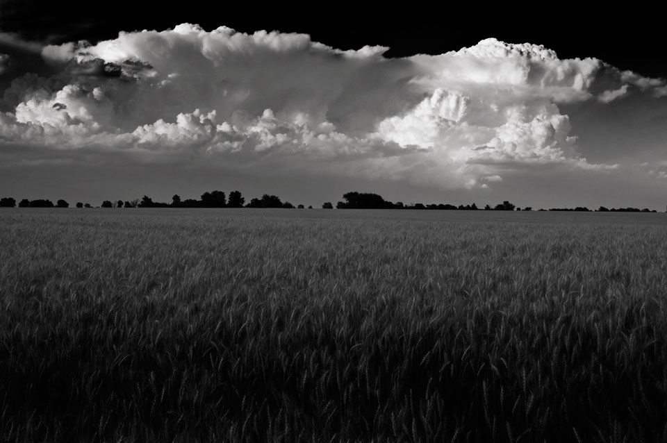 Distant Thunderheads