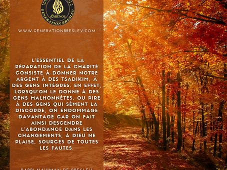 LA PHOTO DE LA SEMAINE