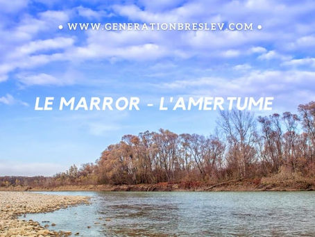 L'UNIVERS DE BRESLEV