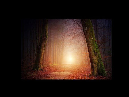 L'UNIVERS DE BRESLEV