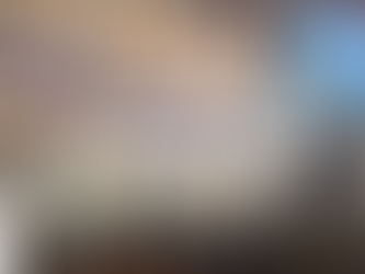 L'UNIVERS DE BRESLEV