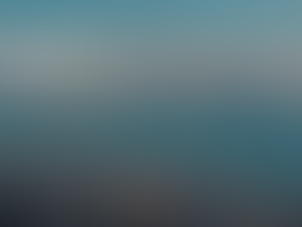 L'UNIVERS DE BRESLEV