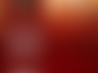 LA PHOTO DE LA SEMAINE