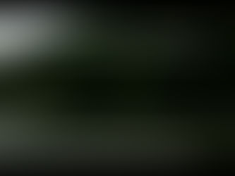 L'UNIVERS DE BRESLEV