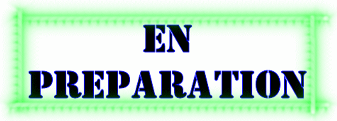 en preparation.jpg