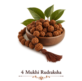 4 Mukhi Rudraksha – The Bead of Knowledge and Creativity
