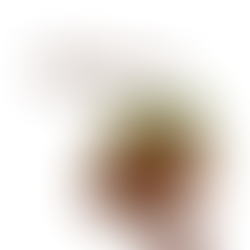 WHAT IS RUDRAKSHA?