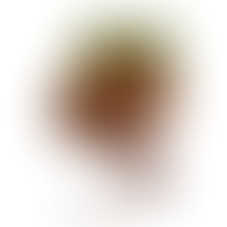 9 Mukhi Rudraksha: The Sacred Bead of Goddess Durga for Strength and Spiritual Protection