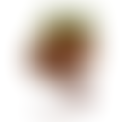 9 Mukhi Rudraksha: The Sacred Bead of Goddess Durga for Strength and Spiritual Protection