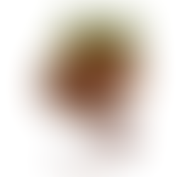9 Mukhi Rudraksha: The Sacred Bead of Goddess Durga for Strength and Spiritual Protection