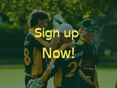 Not too late to kickstart your summer of cricket!