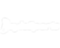 Boylesports Logo.png