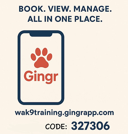 534219611_733548459488388_8875159063023264810_n.jpg