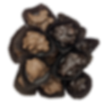 English Walnut Clusters