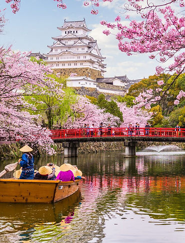 japan - Gradify International