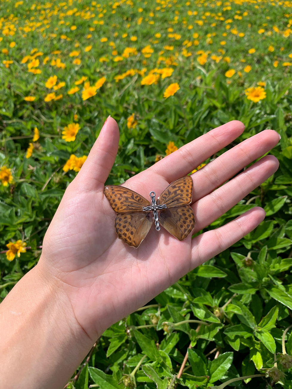 Thumbnail: Ever in Faith 