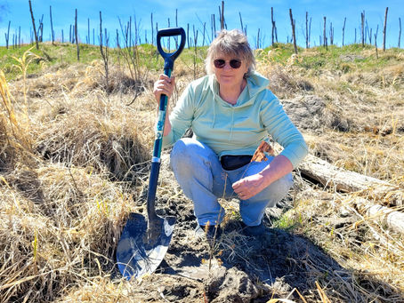 Board Member Profile: Liz Deleeuw