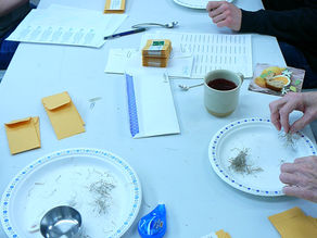 Seeds: What’s the Story? 