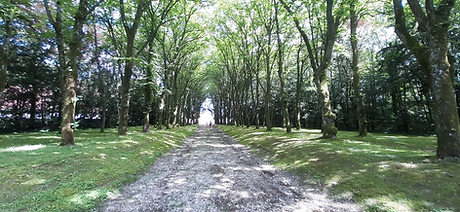 image arbre chateau.png