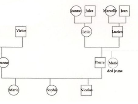 arbre généalogique transgénérationnel
